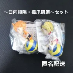 ハイキュー!! プチッとのりマス 日向翔陽・孤爪研磨 セット