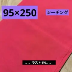 シーチング★レッド ★ラスト2枚
