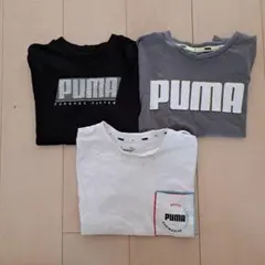 PUMA　Tシャツ　まとめ売り