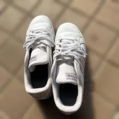 Item thumbnail for item e478885a-14e6-478e-977c-96047e546733