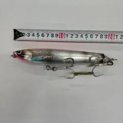 Item thumbnail for item 7295e833-3a33-4898-8d2f-17b6e472379a