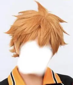 ハイキュー 日向翔陽 ウィッグ