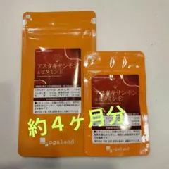 Item thumbnail for item cb647a8a-0896-4de7-beb6-c8b70861e789