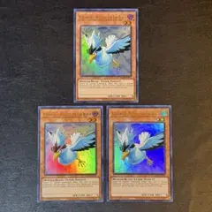 遊戯王　BF極北のブリザード　ウルトラ　英語版　3枚セット