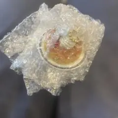 コメダ一番くじ　E賞　ミニフィギュアチャーム　シロノワール