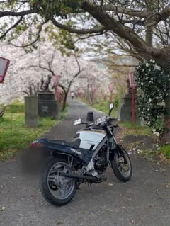 2026年最新】香川 バイク 車体の人気アイテム - メルカリ