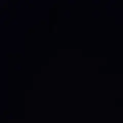 にっしい様専用