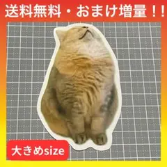 【A306】防水ステッカー 猫ミーム 大きめサイズ UVカット いびき猫