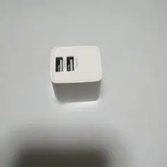 USB充電器 2ポート 100-240V 5V 4A