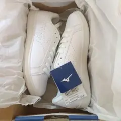 Item thumbnail for item 5032da0c-70ab-41b5-aa70-24e8d94f5456