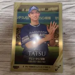 日ハム スポーツカード