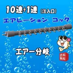 2026年最新】水槽 1200の人気アイテム - メルカリ