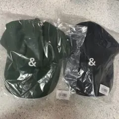 Item thumbnail for item 60c5b0b5-a010-4ecc-b6fa-af40bfa59b5c