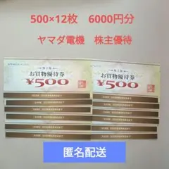 ヤマダ電機 お買物優待券 500円×12枚
