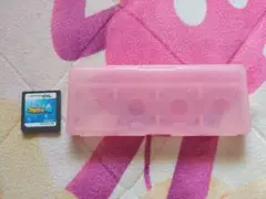 DSソフト　伝説のスタフィー4　ソフトケース付き