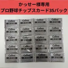 【35点】かっせー様専用★プロ野球チップスカード