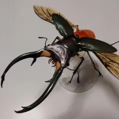 エラフスホソアカクワガタ　グリーン　いきもの大図鑑アドバンス　台座後翅付き　新品