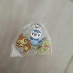 ポケモン　御三家　アクリルチャーム