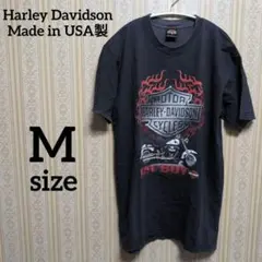 Item thumbnail for item 819b8150-aac4-4829-aa7a-57ad8ffea63c