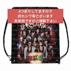 EXILE THE REASON ビニールバッグ 未使用 折れシワ等あり