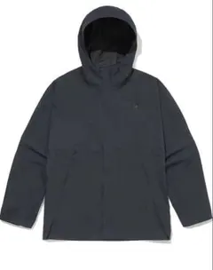 Item thumbnail for item 295162cf-fb80-4ee4-a599-2322307c09f7