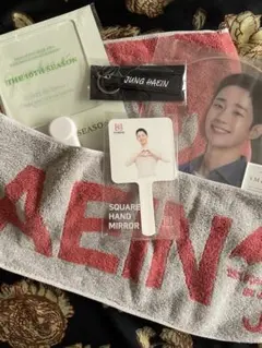 チョンヘイン　グッズ　ペンライト　ブランケット チョンヘイン グッズ ペンライト ブランケット チョンヘイン