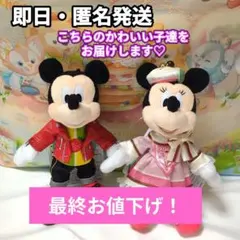 新品　ディズニー　パルパルーザ　ミニー　ミッキー　ぬいぐるみバッジ