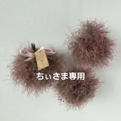 1.スモークツリーのフライングボール 3個セット　スモークツリーフライングリースのサムネイル
