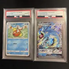 連番】 タッツー / シードラ 旧裏◇ 【PSA10】拡張シート第3弾(緑版