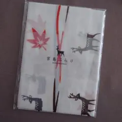 ひえきち様 リクエスト 2点 まとめ商品