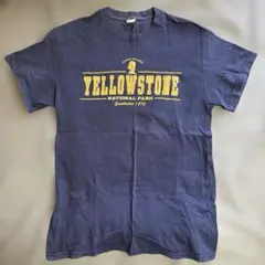 プリント　Tシャツ　M 古着