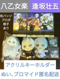 八乙女楽　逢坂壮五　ぬい・アクキー・ブロマイド・缶バッジセット匿名配送