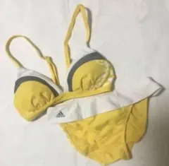 セットアップ セパレート水着