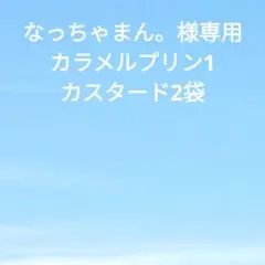 なっちゃまん。様専用　たまごパンカスタード2袋、カラメルプリン1袋