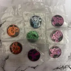 ブイズ ポケモンコイン ポケカ