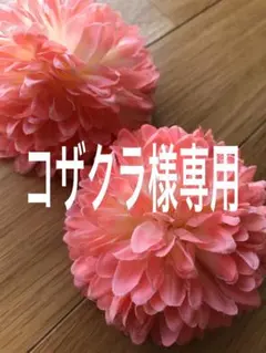 コザクラ様専用