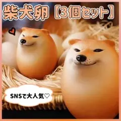 柴犬 卵 スクイーズ しばこ SNS 低反発 しばき 芝犬 ハロウィン 3個