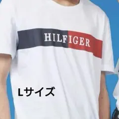 TOMMYHILFIGER トミーフィルフィガー ロゴTシャツ ワンポイント L