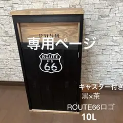 ななち様専用　ダストボックス10L アメリカン　お洒落ゴミ箱　木製