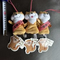 可愛い嘘のカワウソ　ゆびパペット ３個セット