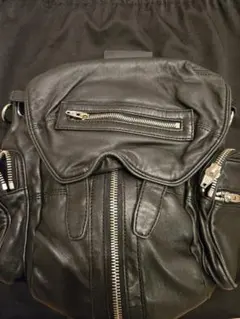 alexander wangのサムネイル