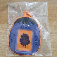 ハイキュー！！ミニフォトホルダー 〜ヒナガラスデザイン〜