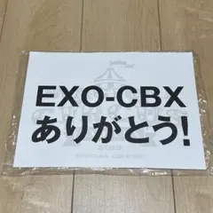 2026年最新】exoスローガンの人気アイテム - メルカリ