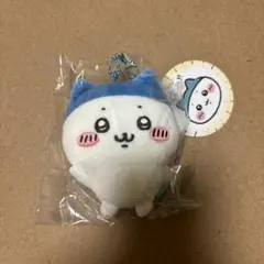 スポーツ刈りなハチワレ