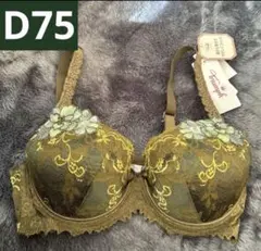 【新品タグ付】トリンプ　プレミアムデザイン　ブラ単品　D75