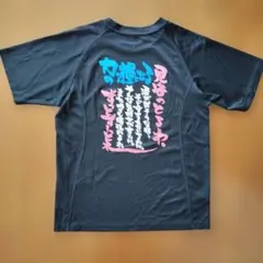 Item thumbnail for item a8fbcb87-1731-4ae7-9970-af3417fd6e9a