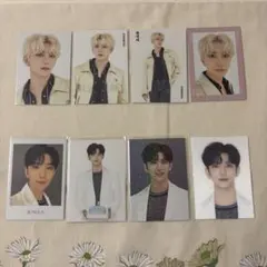 seventeen HARE ジョシュア セット