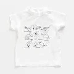 BREEZE ブリーズ　恐竜プリント ホワイト半袖ラッシュガード　100