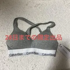 Calvin Klein グレー Sサイズ
