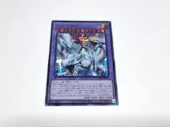 QCDB　究極竜魔導師　マスターオブドラゴンマギア　シークレット　t